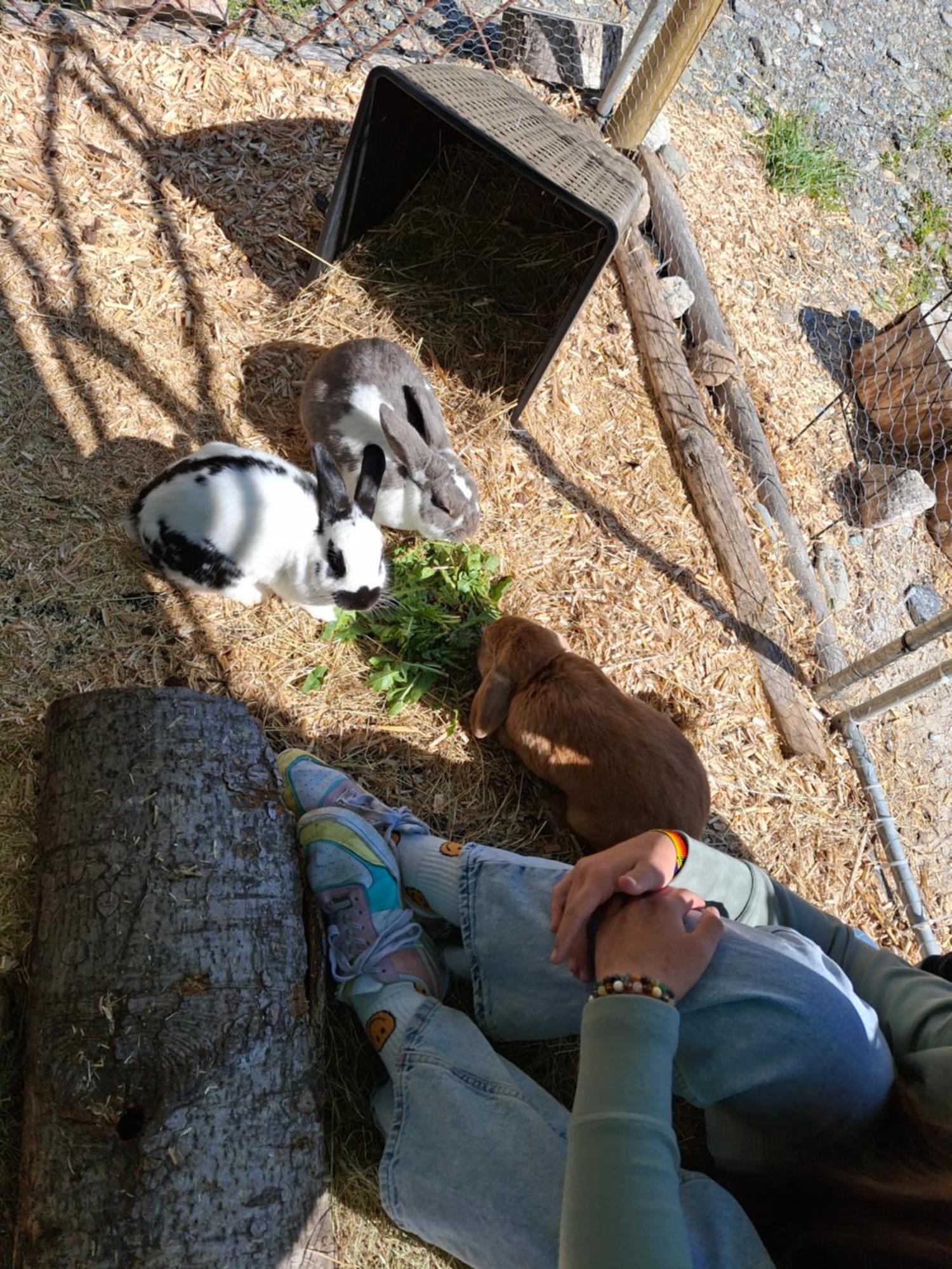 הוילה סנט יוהן אין טירול Lampererhof מראה חיצוני תמונה